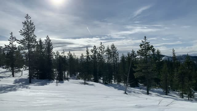 Climbing Towards the Summit – Central Oregon – Potato Hill Sno-Park – 4K