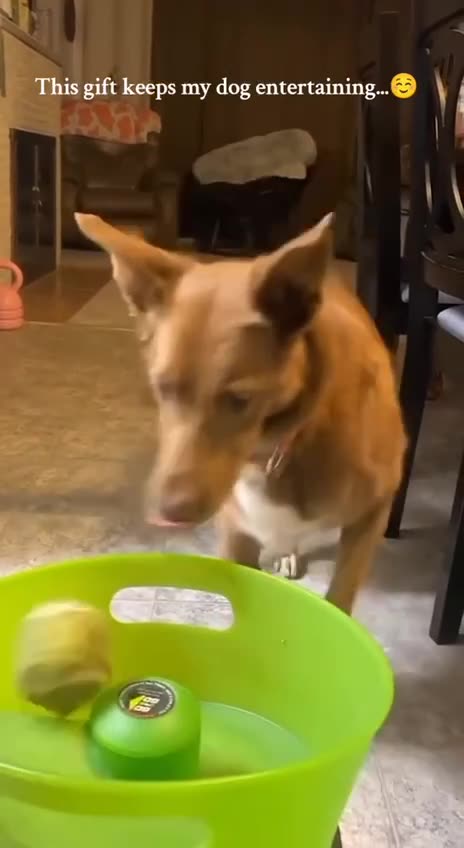 Keep myself entertained 😂😍👍