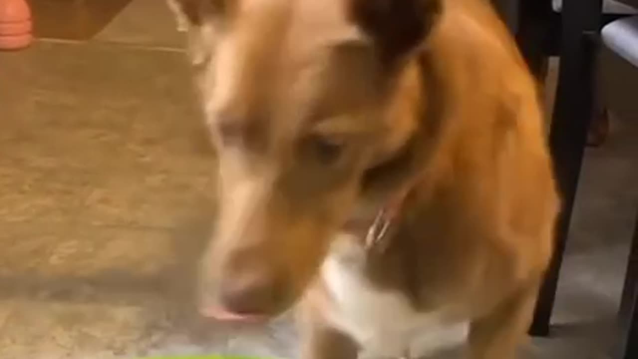 Keep myself entertained 😂😍👍