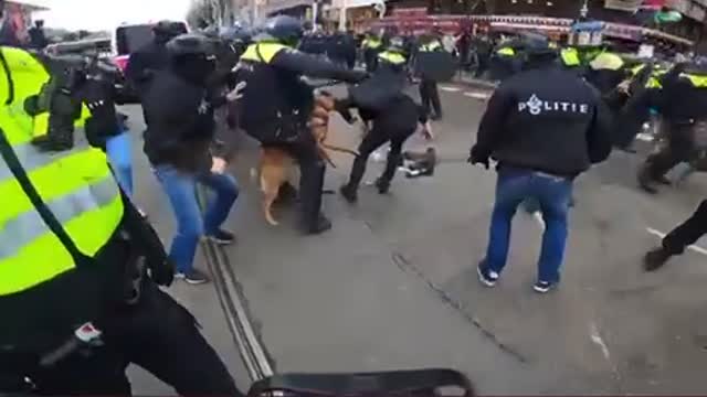 Never forgive never forget