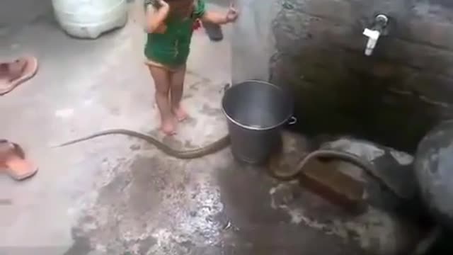 Child is playing with Snake