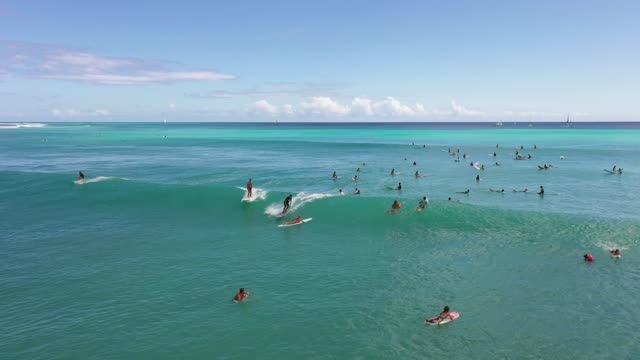 Beach and surfing in the sea. WOW