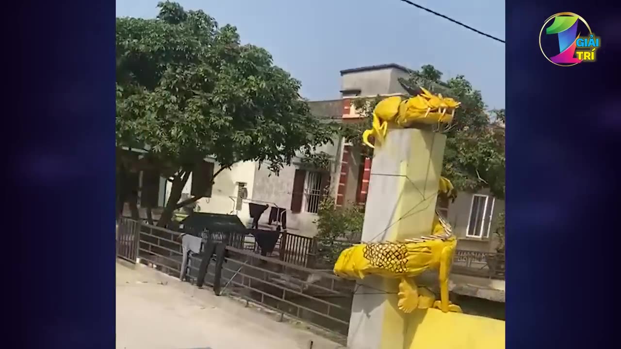 30 Lần Camera Vô Tình Ghi Lại Tình Huống Hài Hước Và Bá Đạo _ Tình Huống Hài Hước #11