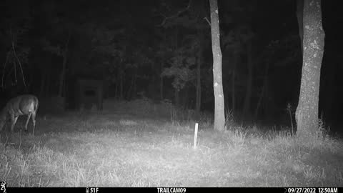 Eight point at blind