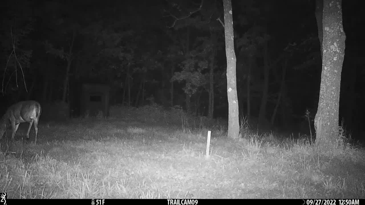 Eight point at blind