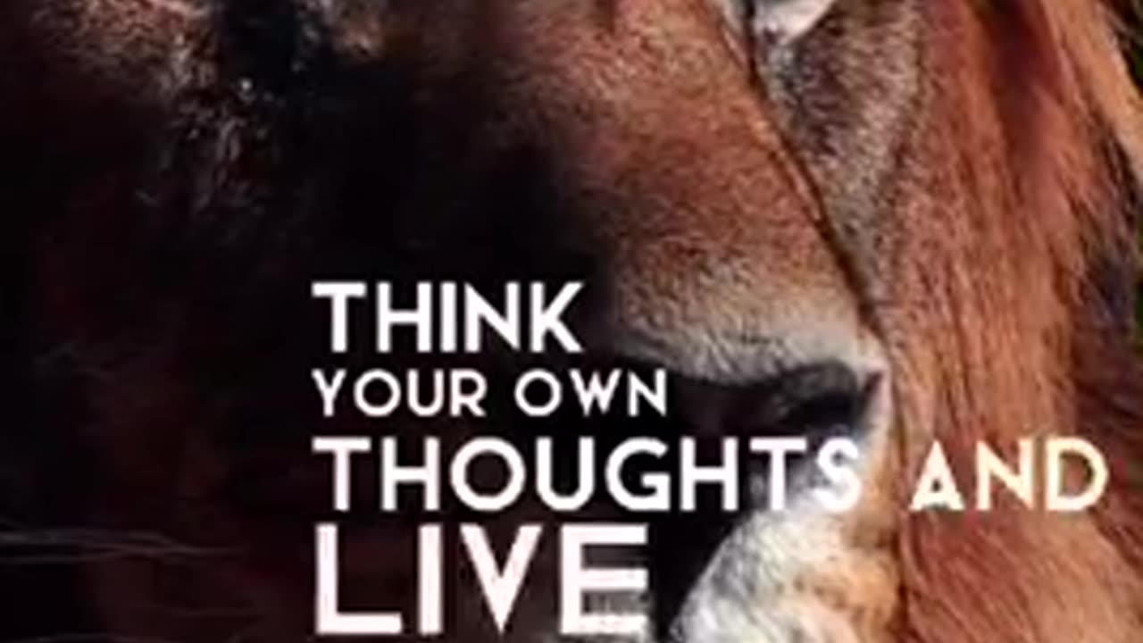 Motivational video