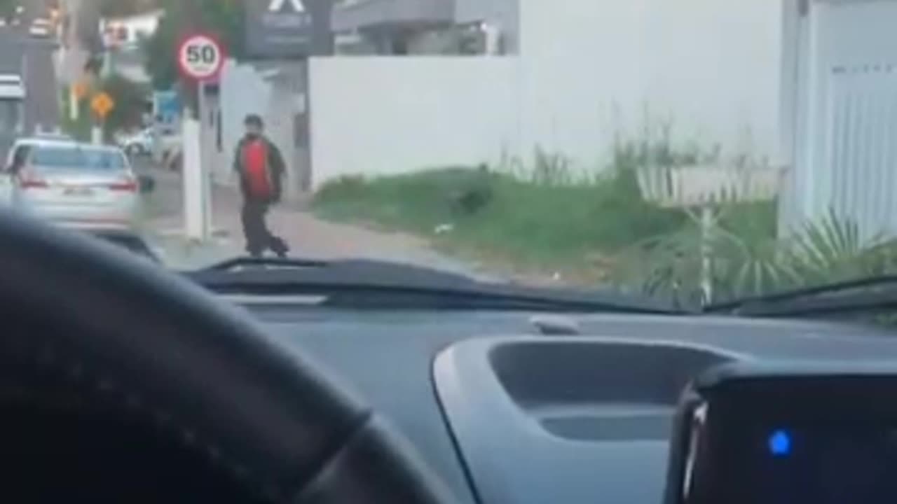 Animal attack