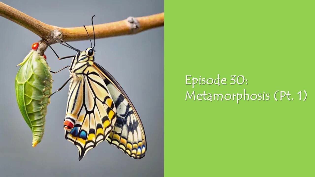 Episode 30: Metamorphosis (Pt. 1)