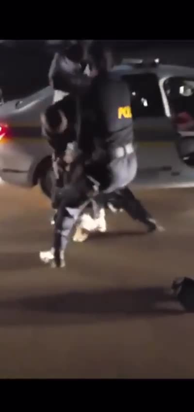 Security guards arrested after assault on cops goes viral 07092023