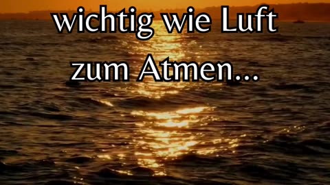 Beziehungen - Spruch des Tages