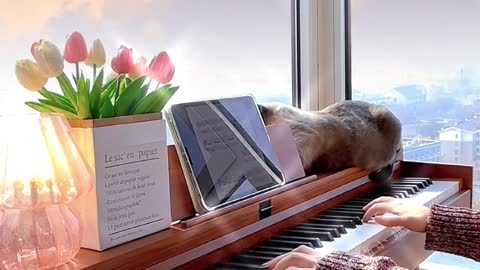 play piano