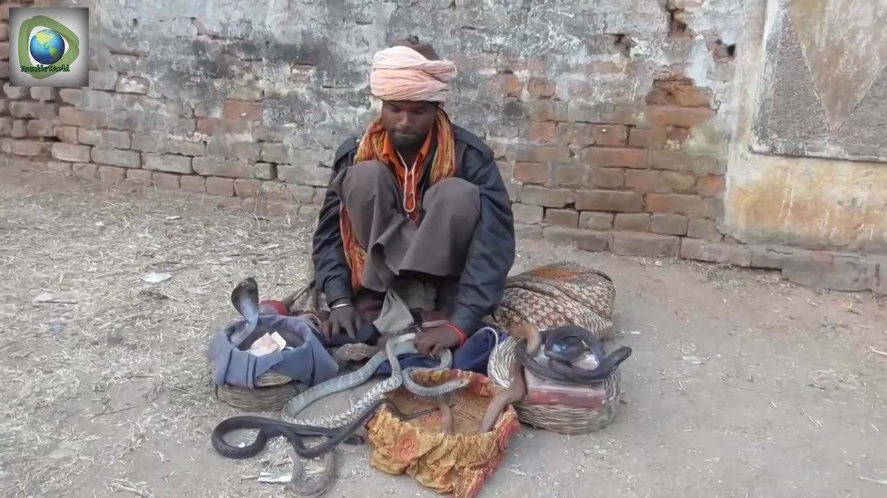 India Ka Madari India Ka Sanp Street Performer & Dangerous Cobra Snake