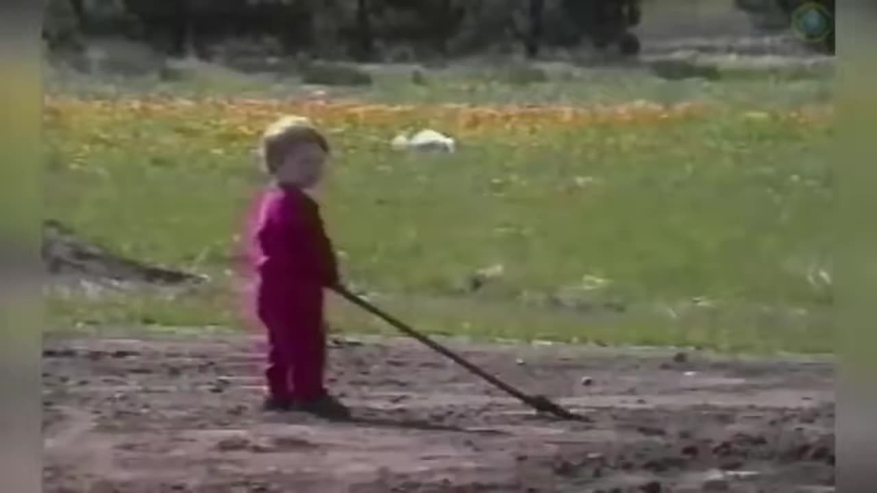 Try Not To Laugh Watching Funny Fails Compilation