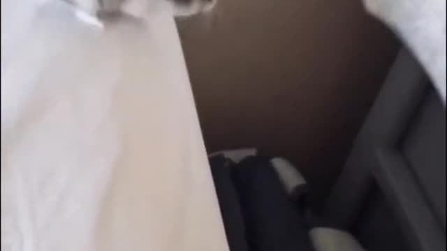 yes, he did jump at the camera in one of the videos