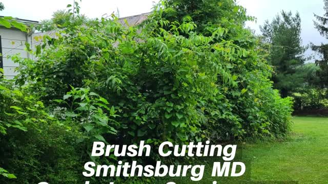 Brush Cutting Smithsburg MD Landscaping Contractor