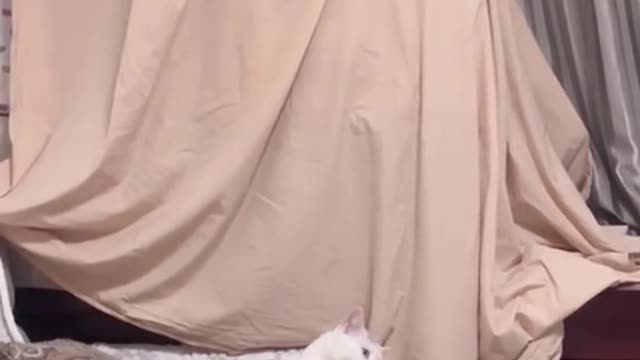 Sleepy!