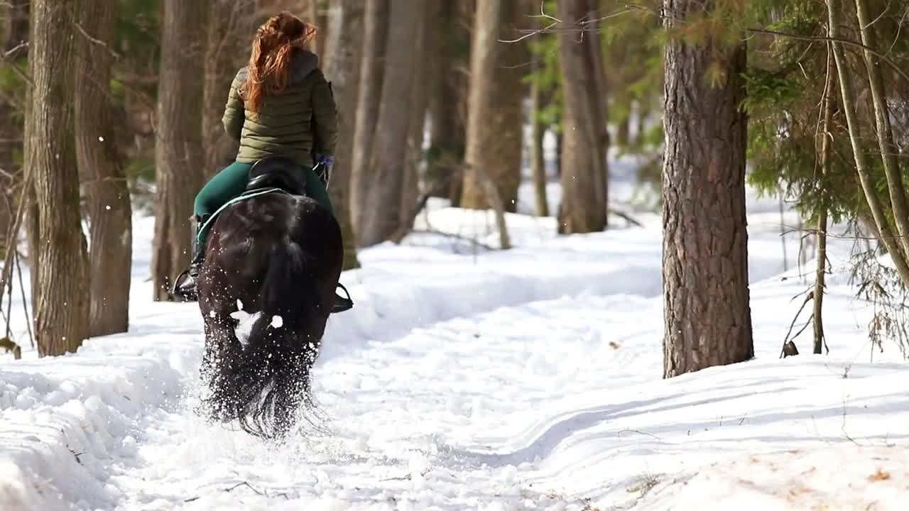 Late winter. A woman walking on a horse in the forest on a snowy path at sunny weather