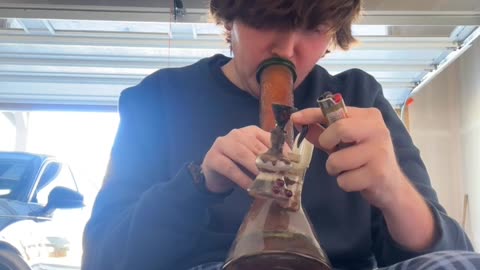 Day 113 pt2 Shakira is gas