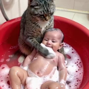 Smart cat baths baby