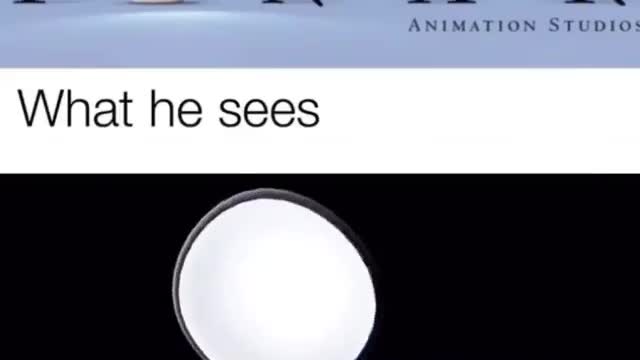 What he sees