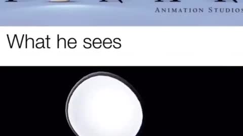 What he sees