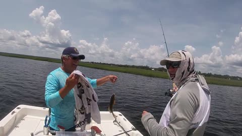 Tons of Fish Part 2 (Redfish Edition)