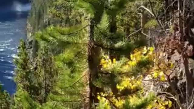 Beautiful Waterfalls in Yellowstone National Park, Wild Life in Yellowstone, Yellowstone river