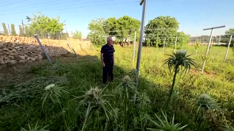 W. Bank farm hosts tourists to fend off settlements