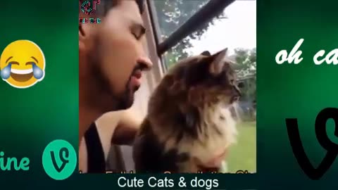 Best Funny Animal Videos Of The 2023 🤣 - Funniest Cats And Dogs Videos 😺😍😂🐶 Funny cat & dog videos 😍