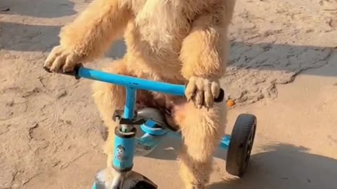 FUNNY CATS and DOGS 😺 🐶 New Funniest Animals Videos 2024