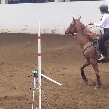 Marion County Fair Girls ride horse