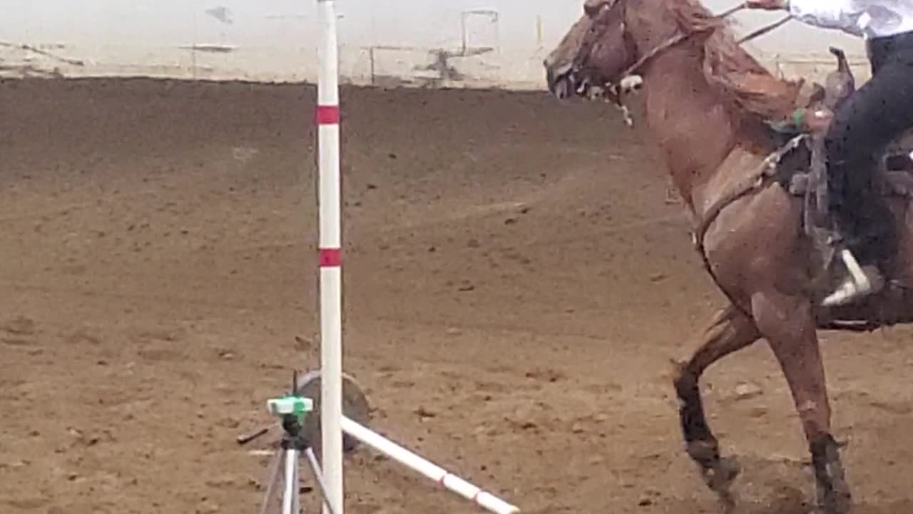 Marion County Fair Girls ride horse