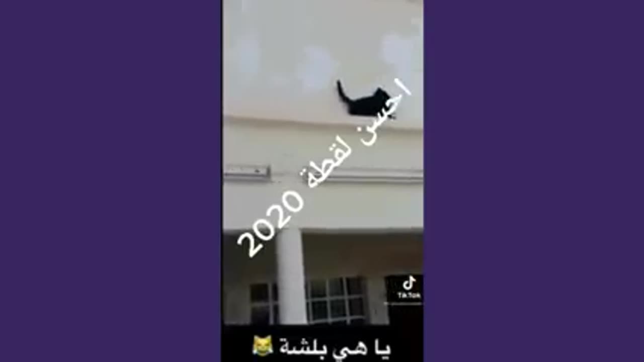 Funny clips. 🤣🤣🤣🤣مقاطع مضحكة