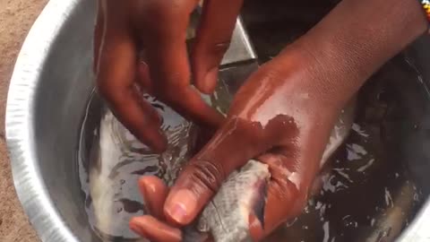 Swahili training to show how to make fish