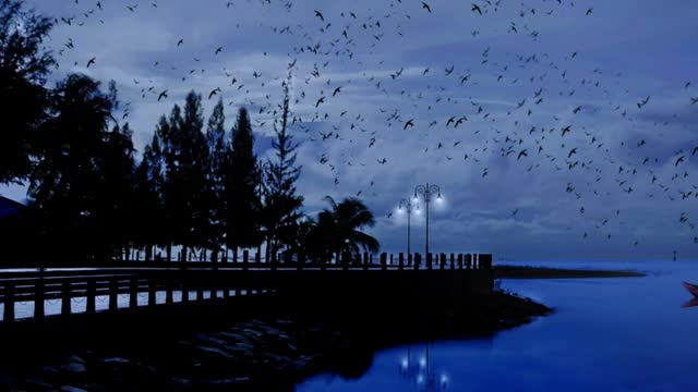 Relaxing Music | Sleeping, Meditation, Stress Relief | [1371] ⭐️