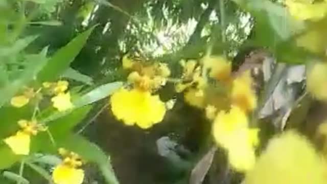 Nature Beauty & Health