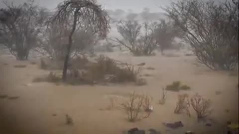 ....يامجيب الداء...دع لذيذ ال