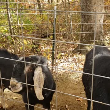 i'm not your girlfriend