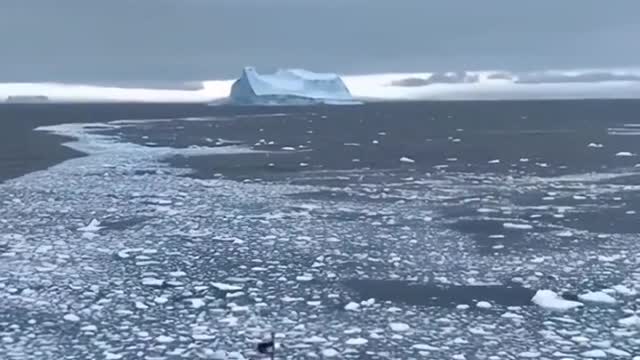 When I saw that iceberg in the Atlantic, I felt like I was in another world
