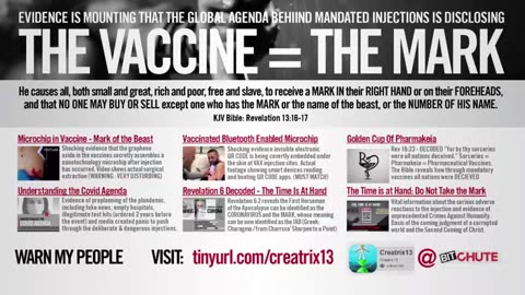 DR CHRISTINE NORTHRUP 登機國際航班時確認的疫苗追踪 中英 DR CHRISTINE NORTHRUP VACCINE TRACKING CONFIRMED WHEN BOARDING INTERNATIONAL FLIGHT - LUCIFERASE