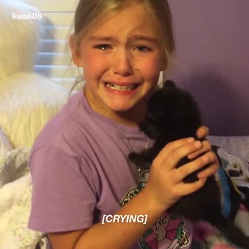 Little girl is surprised with a brand new kitten