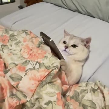 Funny moments #52😂