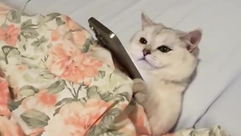 Funny moments #52😂