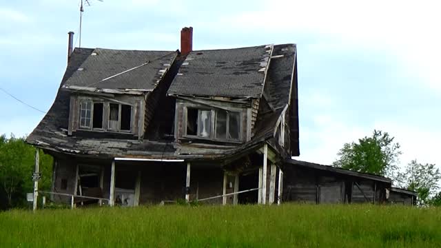 Hillbilly's Paradise