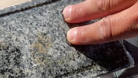Ich geh bei dem heißen Wetter einfach nicht über Asphalt mit meinem Hund
