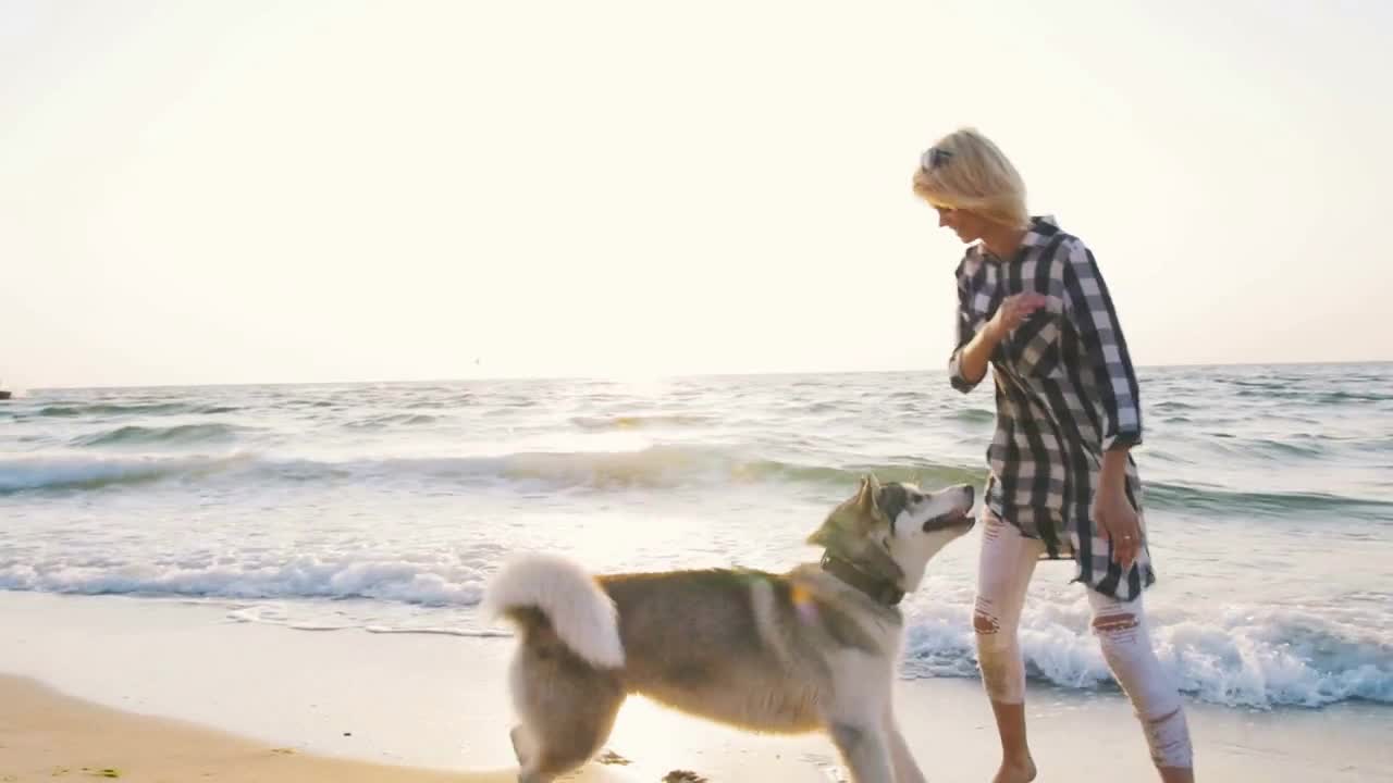 Young female playing with siberian husky dog on the beach at sunrise