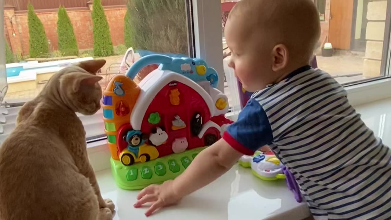 A Cute Baby Playing with Cat