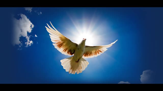 Divine Mercy Message for December 4, 2022