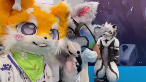 Furry Douyin #11
