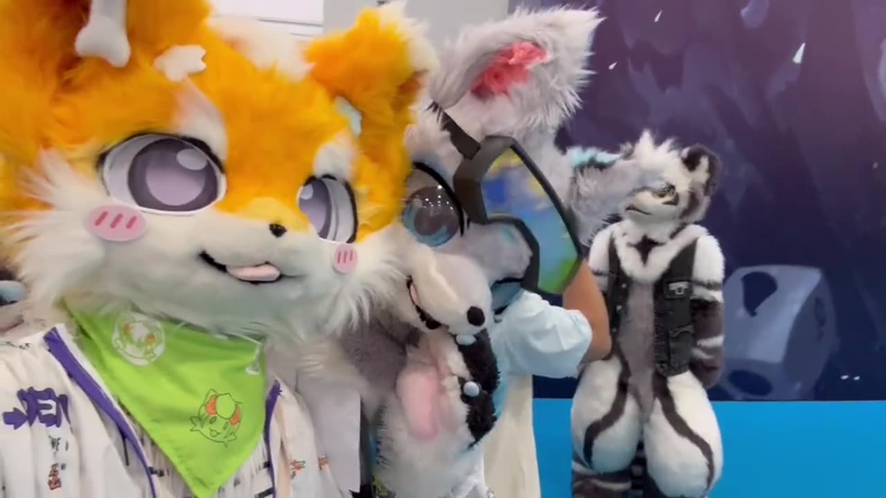 Furry Douyin #11